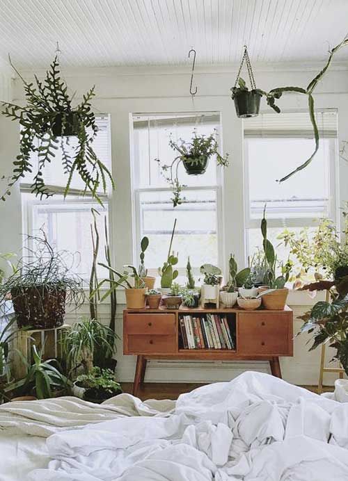chambre-plante-inspiration Vert